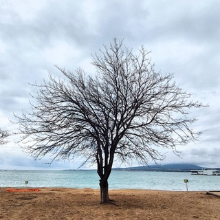 Логотип @corobka_istoriy - Коробка историй