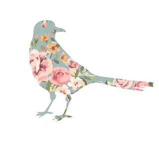 Логотип @coroka59 - Магазин Сорока @coroka_59