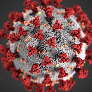 Логотип @coronachartsukraine - Коронавирус в Украине. Графики