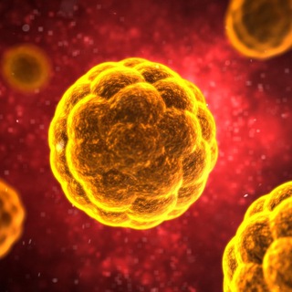 Логотип @coronalive - Global Intel LIVE - CoronaLive