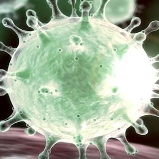 Логотип @coronavirus2019n_cov - Коронавирус COVID новости