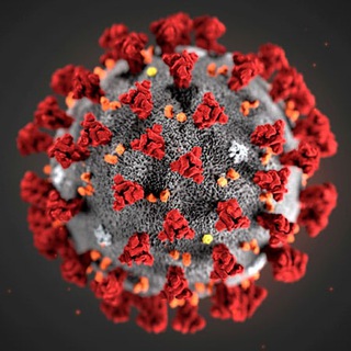 Логотип @coronavirus_19_news - Coronavirus News