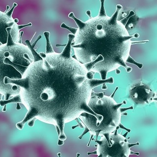 Логотип @coronavirus_control - Коронавирус 🦠 Сегодня. Новости. Статистика. Карта