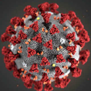 Логотип @coronavirus_vkurse - Коронавирус (COVID-19)