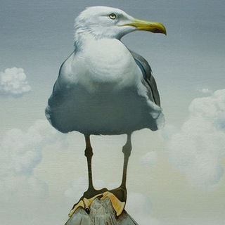 Логотип @corruption39 - Калининградская область