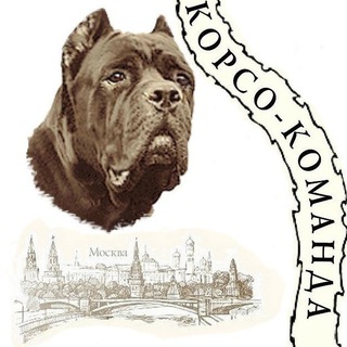 Логотип @corso_comanda - Corso_comanda