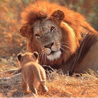 Логотип @cosacentroiocondio - COSA C'ENTRO IO CON DIO!