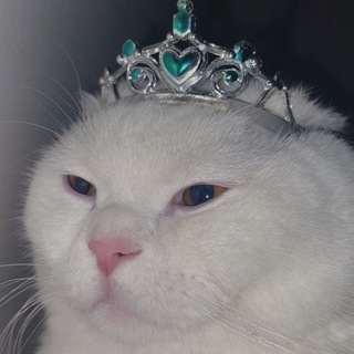 Логотип @cosmetic_memes - Юмор категории Бьюти