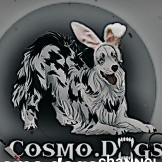 Логотип @cosmikilovv - ♡семья пушистых♡