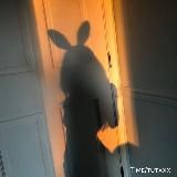 Логотип @cosplay_girls18_sexygirls - Cosplay Girl's