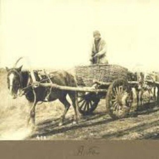 Логотип @cossack_cart - Казачья арба