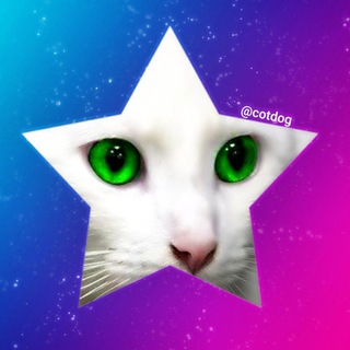 Логотип @cotdog - Животные Хабаровск / @cotdog / Объявления / Khv / 27 / Кошка / Собака