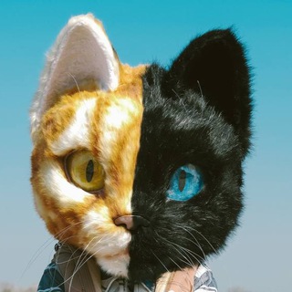 Логотип @cotmascot - Кот «MASCOT» | блогер нового формата