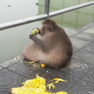 Логотип @cottagecheesespoon - Творожная Ложечка