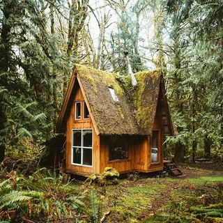 Логотип @cottagecorechat - 🌿cottagecore chat🌿