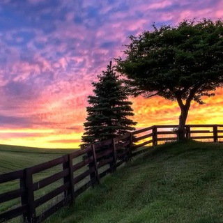 Логотип @countrylifeforyou - countrylifeforyou