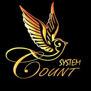 Логотип @countsystem - countsystem