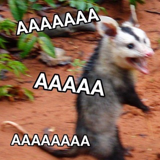 Логотип @coverbattlespb - K-Сover Battle SaintP