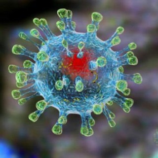 Логотип @covidnoeprikluchenie - COVIDное приключение