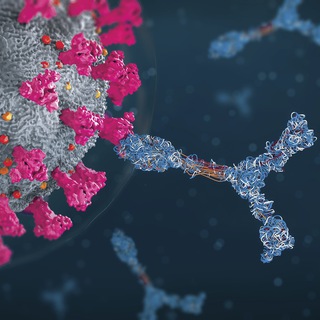 Логотип @covidtruth_uncensored - Covid Truth - UNCENSORED