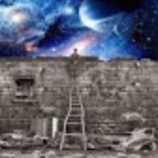 Логотип @covidvaccinedeath - Vaccine News