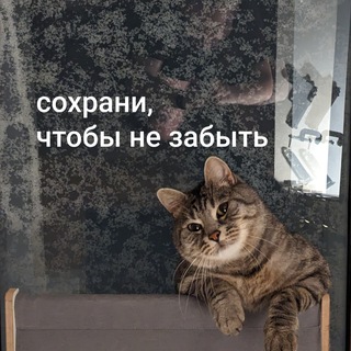 Логотип @coxpahu_plz - сохрани, чтобы не забыть