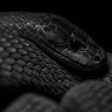 Логотип @coxrany - Тебе понравится🌪🔥