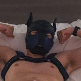 Логотип @coyotedeerposting - Coyote-Deer Posting 🔞🔥