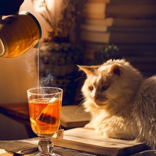 Логотип @cozy_tavern - Уютненькая таверна"Чашечка чая"(◕‿◕)