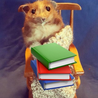 Логотип @cozybasis - Уютный разбирает | Инвестиции