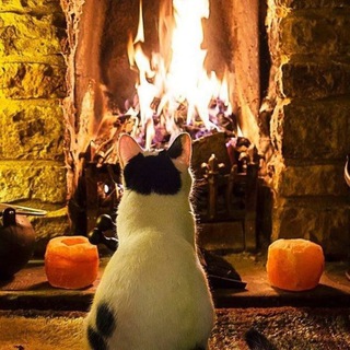 Логотип @cozyhomeya - Уютный дом 🕯 Эстетика жизни ✨