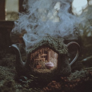 Логотип @cozyhousekk - ✨ Your harbor ✨