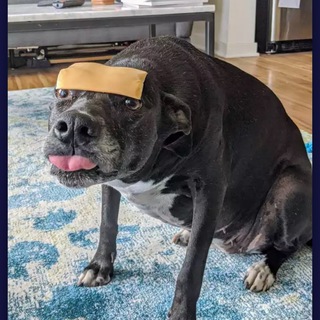 Логотип @cozymemasiki - Мемы нашего времени