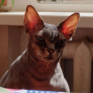 Логотип @cprlebat - панеры 🧋