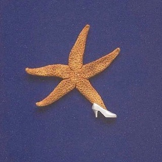 Логотип @craaazyryba - Босоножки на каждый день