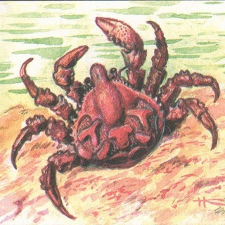 Логотип @craboid_thoughts - Craboid thoughts