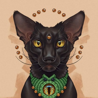 Логотип @craft_cats_rocknroll - Інь, Янь, Хрінь і одна жінка