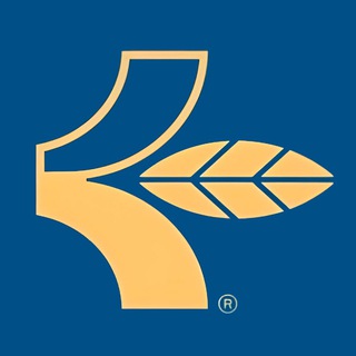 Логотип @craftwood_uz - CRAFTWOOD