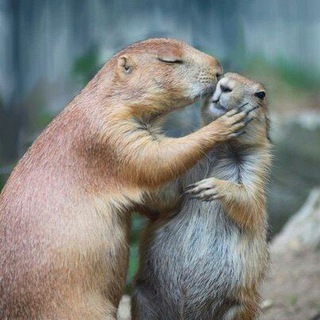 Логотип @crasivayapriroda - Красивая Природа