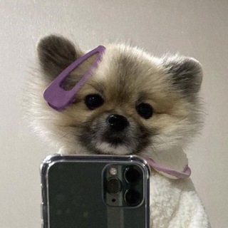 Логотип @crazy_world_mem - Круглый движ⚫️🟠