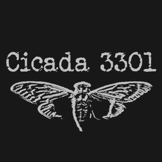 Логотип @crcicada_chat - Cicada 3301 ЧАТ