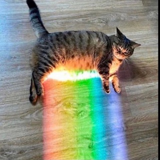 Логотип @creditsbounty - Bounty chat