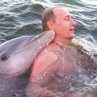 Логотип @crestofawave - На гребне волны. 2026