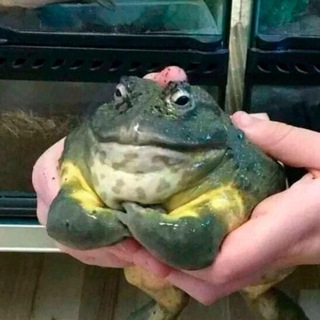 Логотип @crewgtw_official - CrewGTW