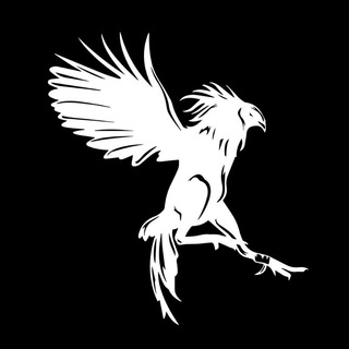 Логотип @criadero_chicayan - 🐓 Chicayán - Criadero de gallos y gallinas