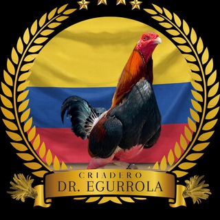 Логотип @criaderokikeegurrola - GALLOS DR EGURROLA