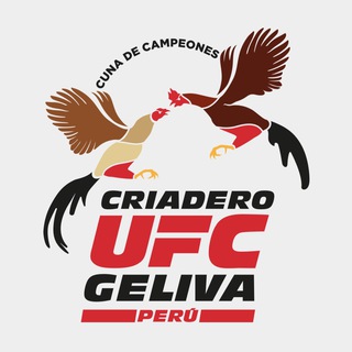 Логотип @criaderoufcgeliva2024 - Criadero UFC GELIVA