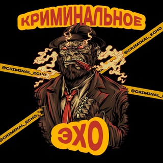 Логотип @criminal_echo - Криминальное Эхо