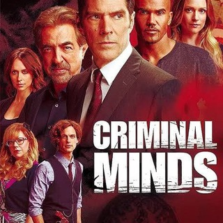 Логотип @criminal_minds_seriess - CRIMINAL MINDS SERIES