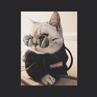 Логотип @criminalmuz1 - ᴄʀɪᴍɪɴᴀʟ | ᴍᴜᴢ🎧